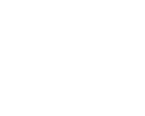 Flow Line Integration